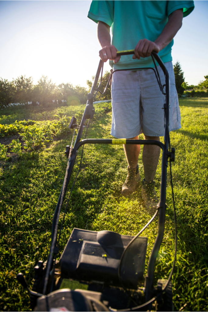 Manual Lawn mover